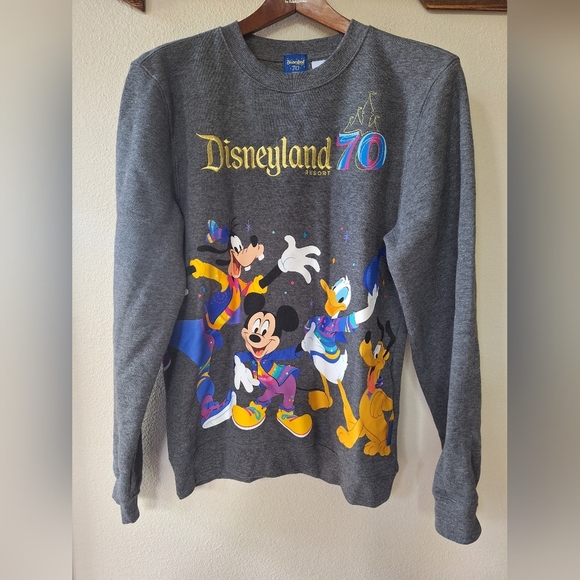 Disneyland Resort 70th Anniversary Embroidred Graphic Sweatshirt Size XS - Picture 1 of 6